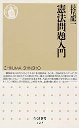 憲法問題入門
