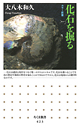 化石を掘る