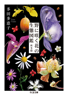野に咲く花の生態図鑑　【秋冬篇】