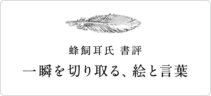 蜂飼耳氏 書評　一瞬を切り取る、絵と言葉