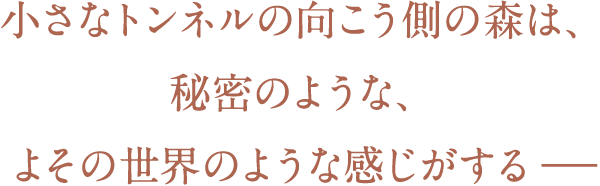 小さなトンネルの向こう側の森は、秘密のような、 よその世界のような感じがする――